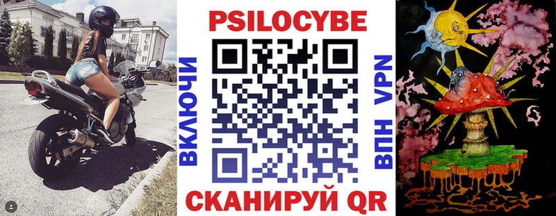 купить Железногорск-Илимский Псилоцибиновые грибы мицелий